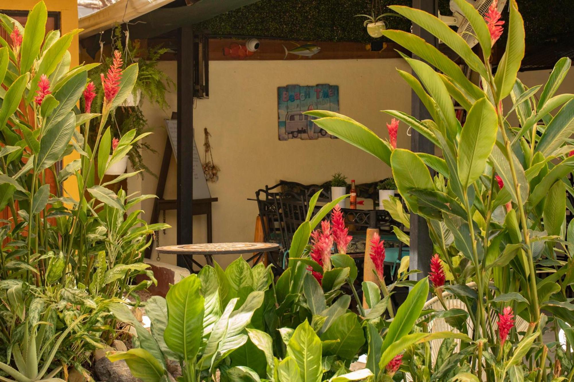 Hotel Laura'S House Coco Luaran gambar